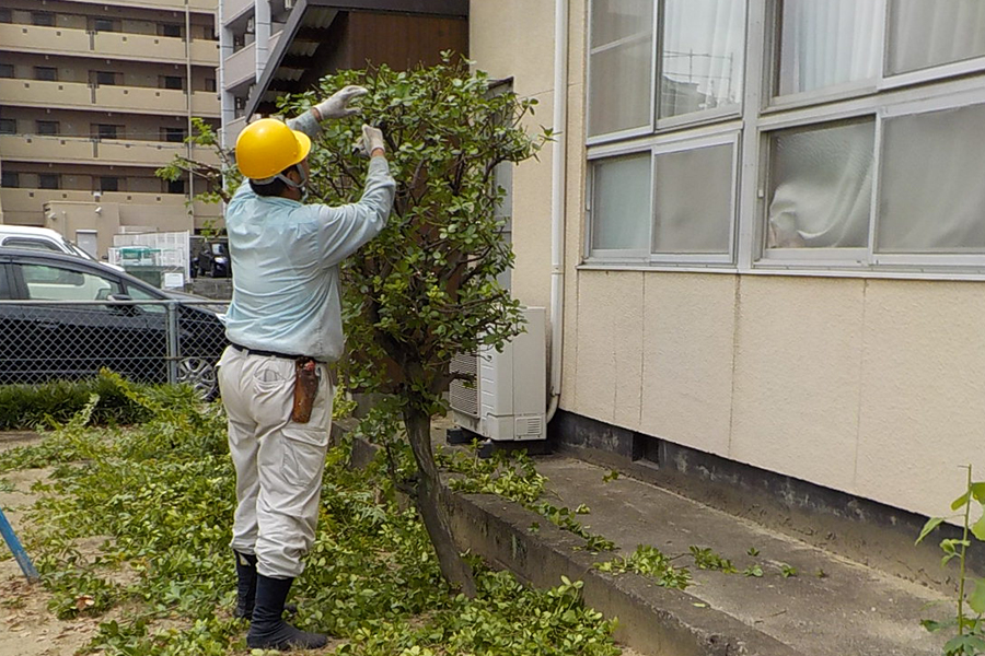 澄和造園土木株式会社